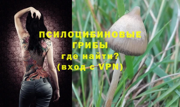 COCAINE Вяземский