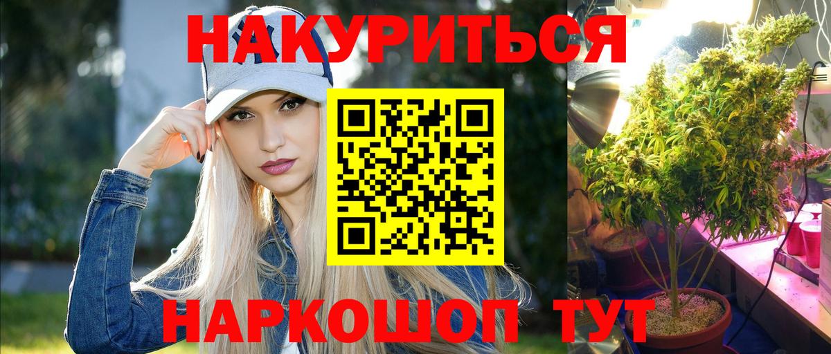 Канабис конопля Губкинский